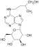 DIHYDROZEATIN-9-β-D-GLUCOSIDE (DZ9G)