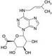 N6-ISOPENTENYLADENINE-3-GLUCURONIDE (iP3GN)