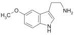 5-METHOXYTRYPTAMINE (5MeOTry)