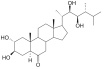 3,24-DIEPICASTASTERONE (EBk3b)
