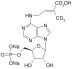 trans-ZEATIN RIBOSIDE-5'-MONOPHOSPHATE (D-ZMP)