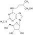 2-METHYLTHIO-cis-ZEATIN RIBOSIDE (2MeScZR)