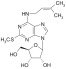 2-METHYLTHIO-N6-ISOPENTENYLADENOSINE (2MeS-iPR)
