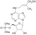 trans-ZEATIN RIBOSIDE-5'-MONOPHOSPHATE SODIUM SALT (tZMP)