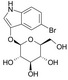 5-BromO-3-indolyl-β-D-glucopyranoside (Bluo-Glu)