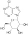 6-CHLOROPURINE-9-β-D-GLUCOSIDE (6Cl9G)