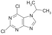 2,6-DICHLORO-7-ISOPROPYLPURINE (2,6DCl-7IsoprP)