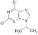 2,6-DICHLORO-9-ISOPROPYLPURINE (2,6DCl9IsoprP)