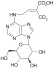 trans-ZEATIN-9-GLUCOSIDE (D-tZ9G)
