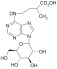 DIHYDROZEATIN-9-GLUCOSIDE (D-DHZ9G) 